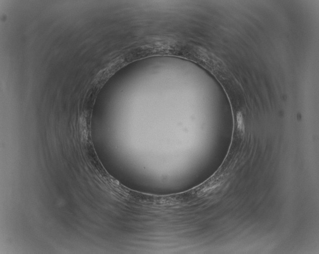 X0000078261203200611101026