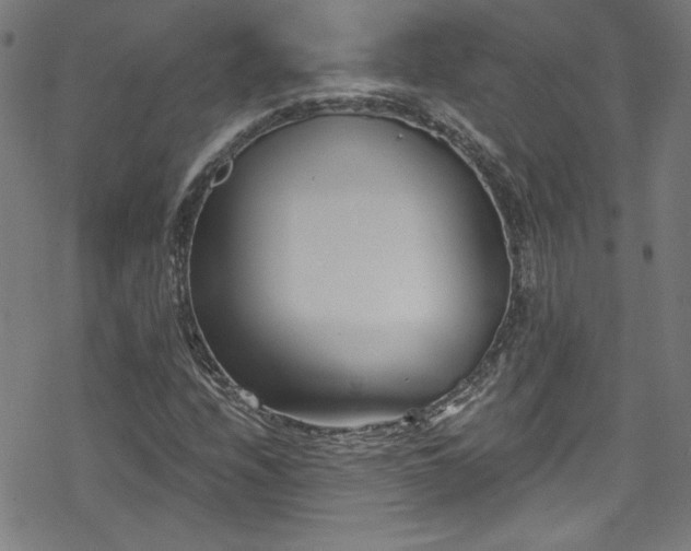 X0000078261208200611101026