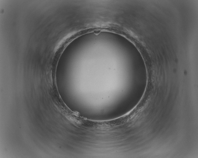 X0000078261214200611101027