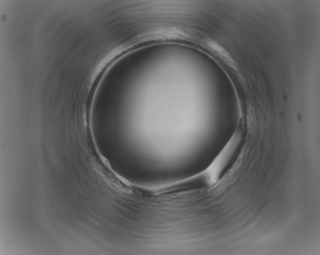 X0000078261226200611101027