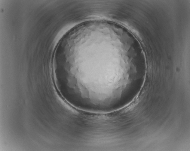 X0000078261239200611101027