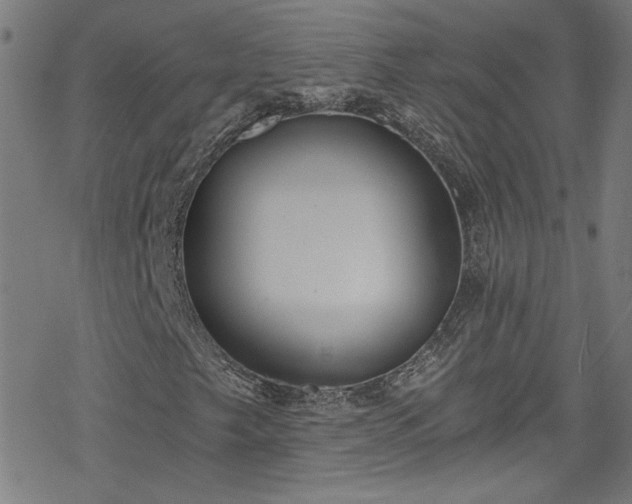 X0000078261249200611101026