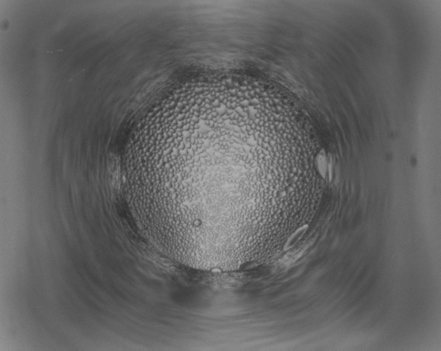 X0000078261251200611101026
