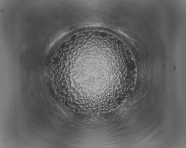 X0000078261255200611101026