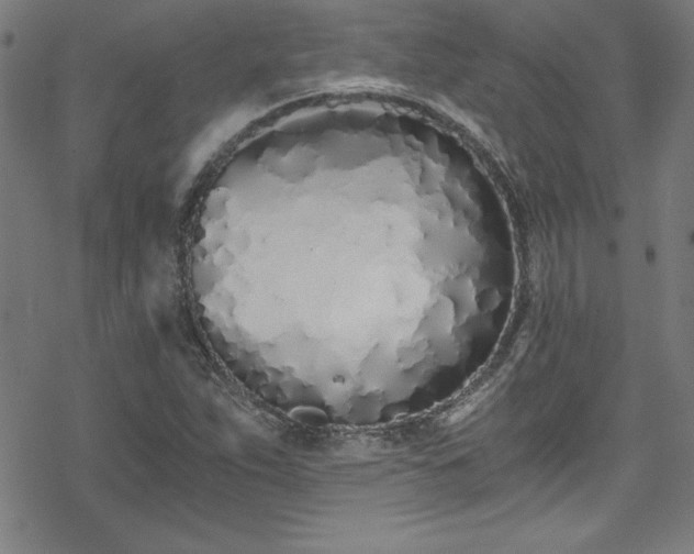 X0000078261263200611101026