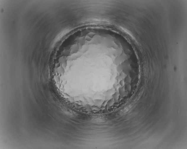X0000078261267200611101026