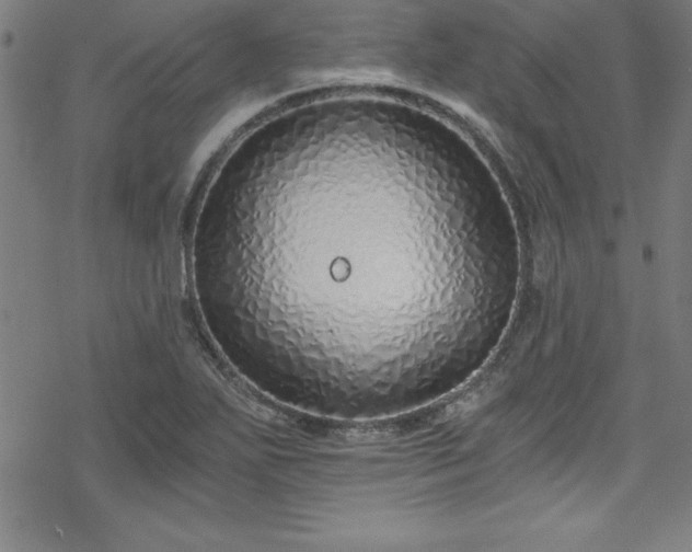 X0000078261271200611101026