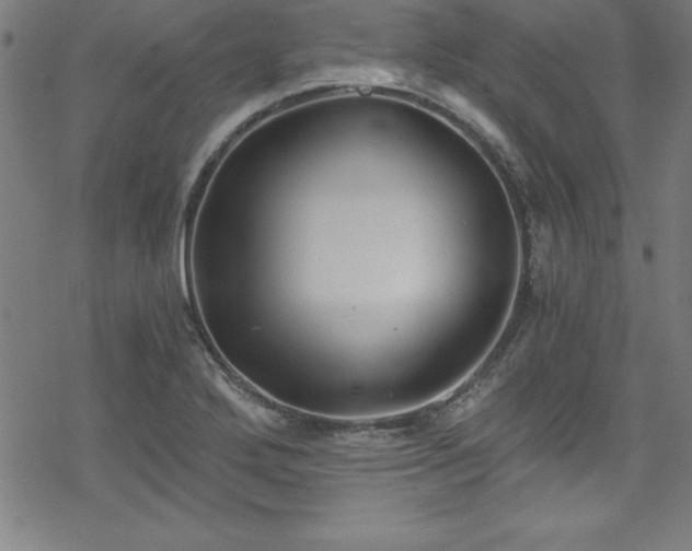 X0000078261272200611101026