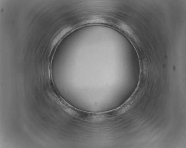 X0000078261274200611101026