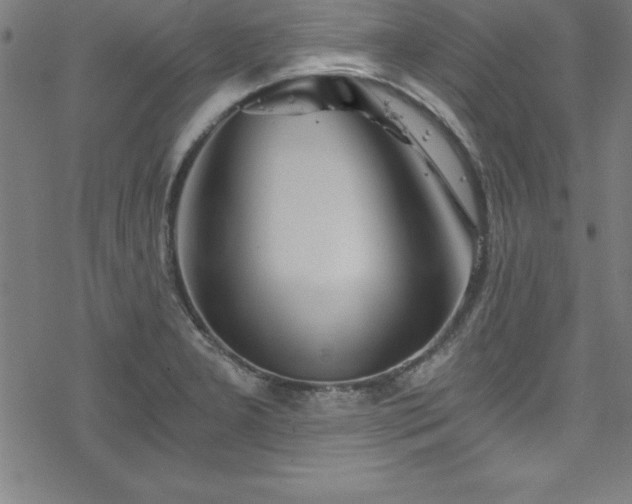 X0000078261277200611101026
