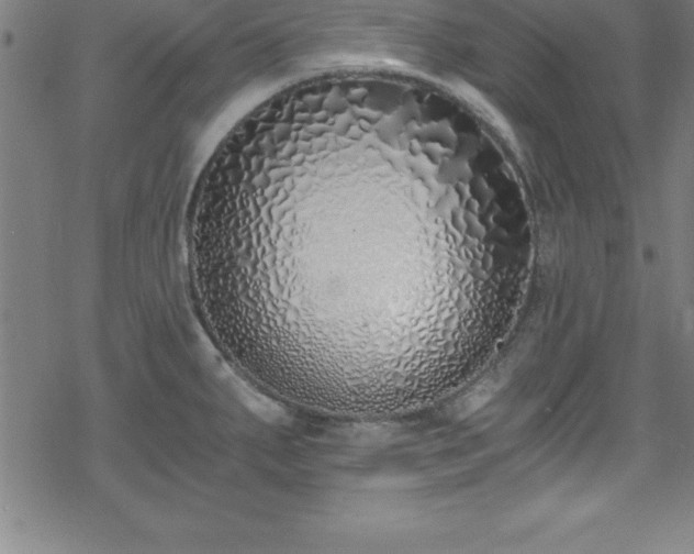 X0000078261287200611101026