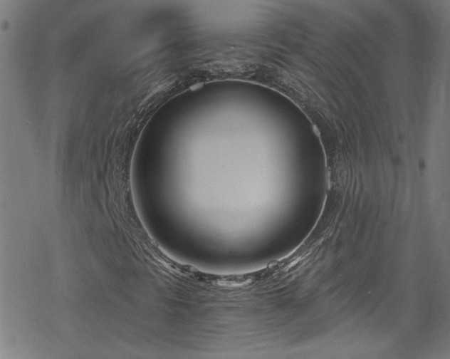 X0000078261297200611101025