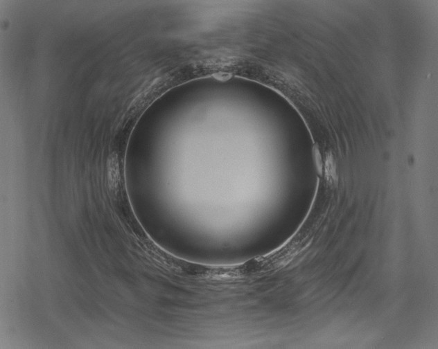 X0000078261299200611101025