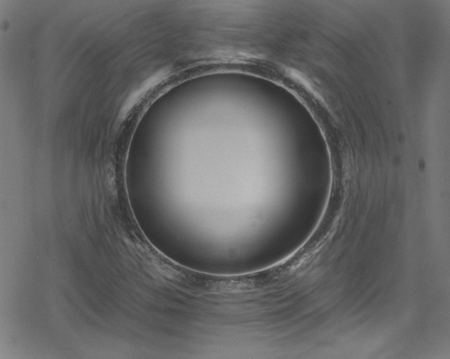 X0000078261307200611101025