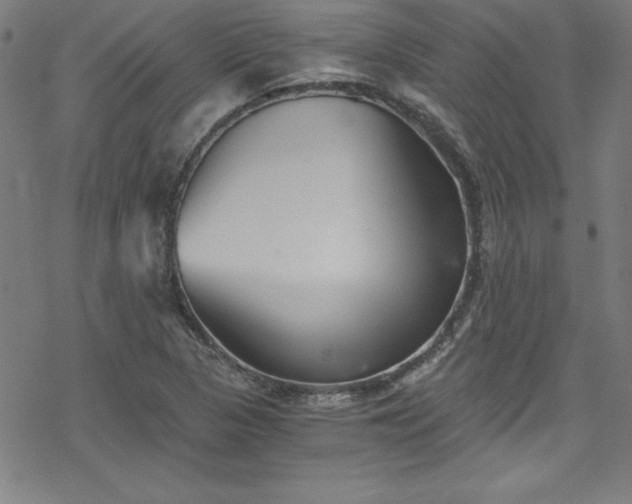 X0000078261313200611101025