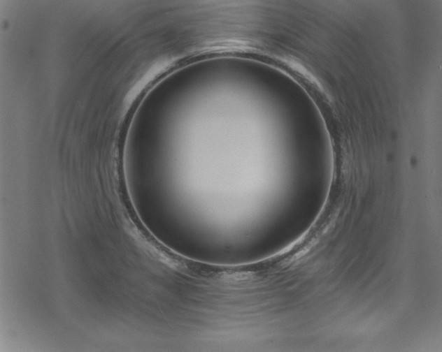 X0000078261325200611101025