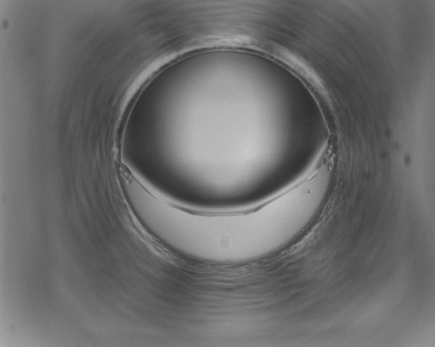 X0000078261332200611101025