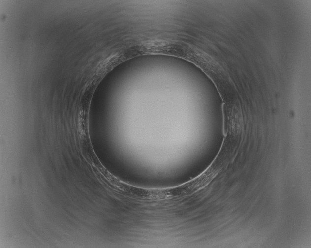 X0000078261346200611101025