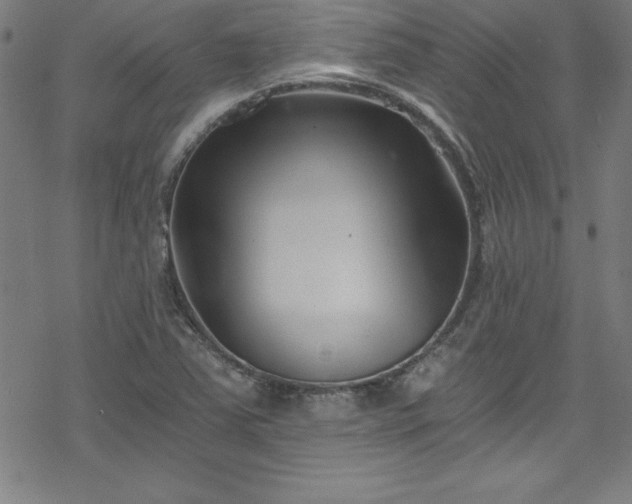 X0000078261363200611101024