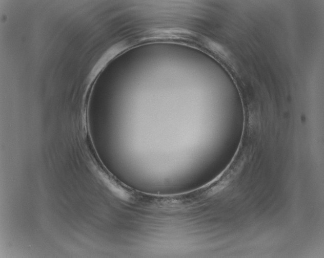 X0000078261370200611101024