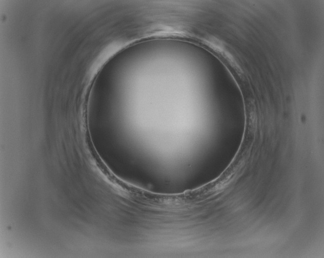 X0000078261375200611101024