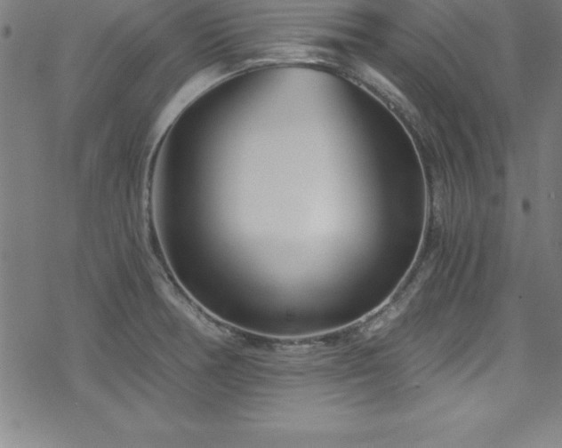 X0000078261378200611101024