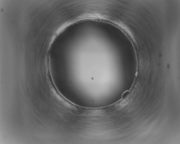 X0000078261382200611101024