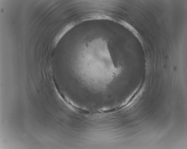 X0000078261385200611101024