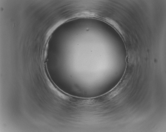 X0000078261387200611101024