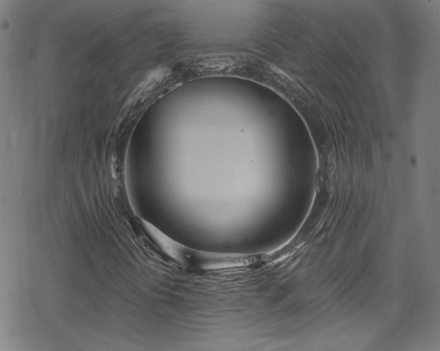 X0000078261394200611101023