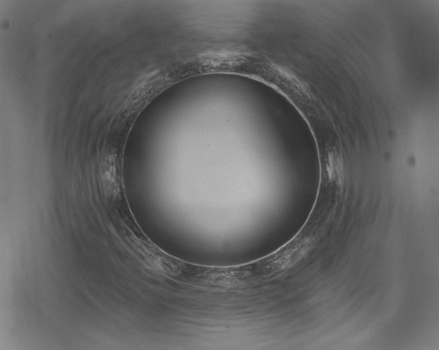 X0000078261396200611101023