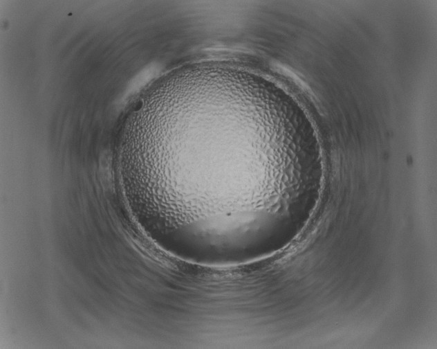 X0000078261403200611101023