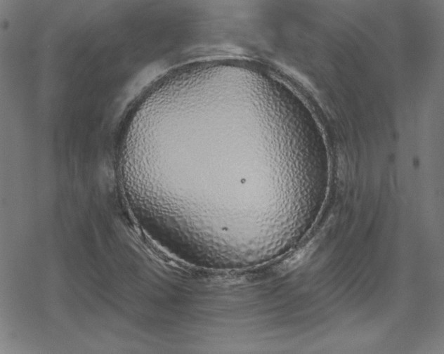 X0000078261407200611101023