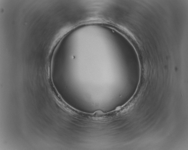 X0000078261413200611101024