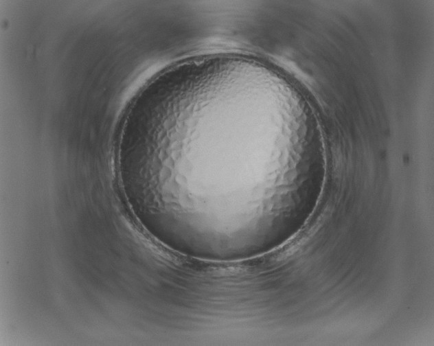 X0000078261415200611101024