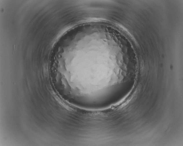 X0000078261417200611101024