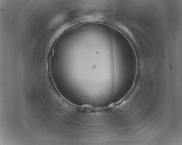 X0000078261419200611101024