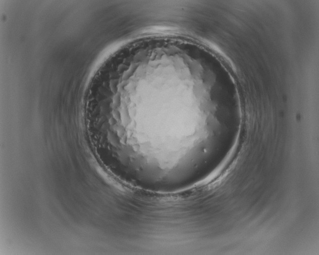 X0000078261421200611101024