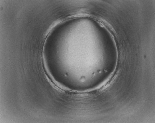 X0000078261425200611101024