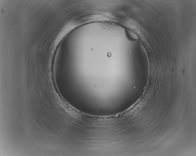 X0000078261427200611101024