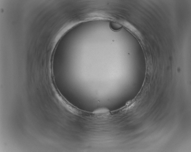 X0000078261431200611101024