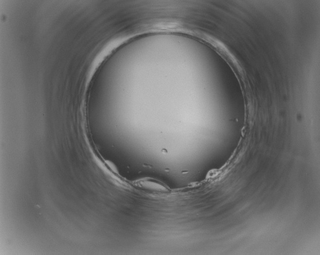 X0000078261432200611101024