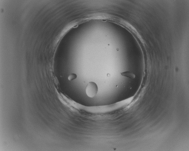 X0000078261433200611101024