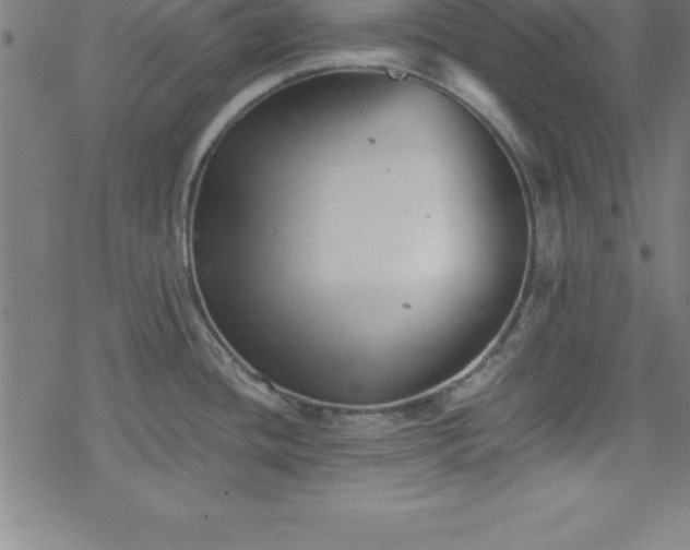 X0000078261436200611101024