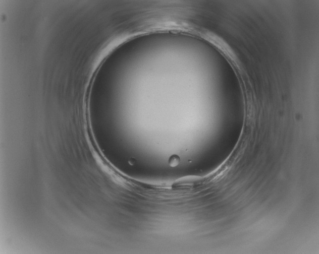 X0000078261439200611101024