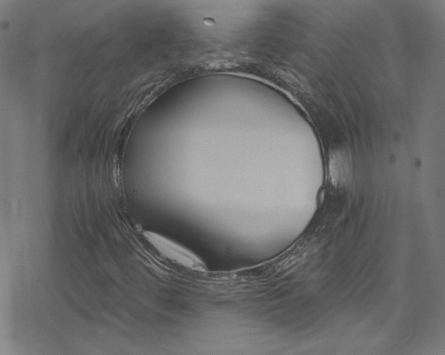 X0000078261444200611101023