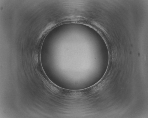 X0000078261451200611101023