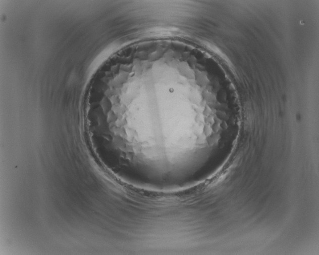 X0000078261467200611101023