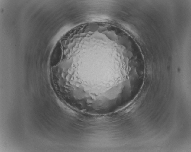 X0000078261471200611101023