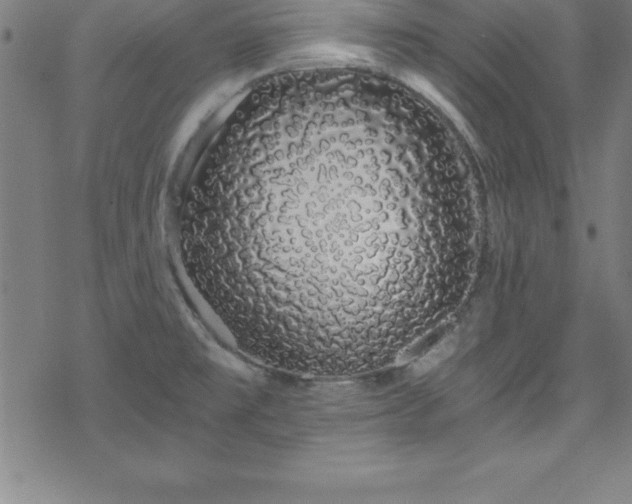 X0000078261477200611101023